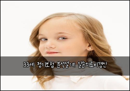 33세 정기보험 분석설계  실손의료비갱신