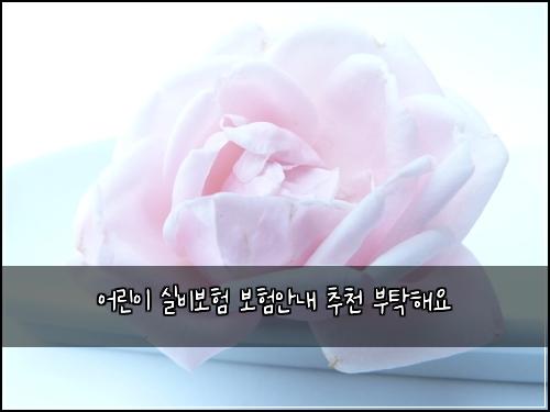 어린이 실비보험 보험안내  추천 부탁해요