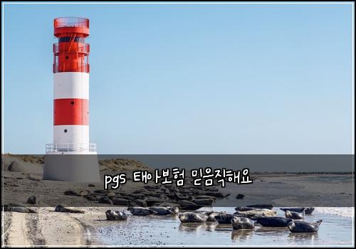 pgs 태아보험 믿음직해요 