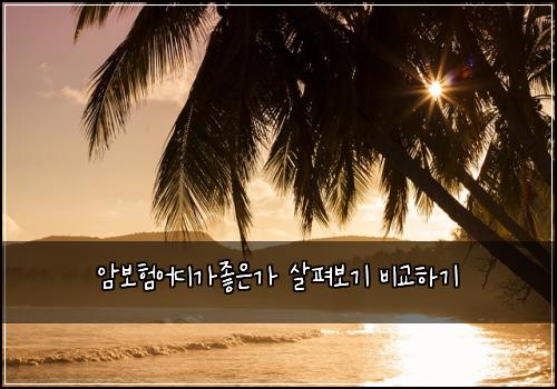 암보험어디가좋은가 살펴보기 비교하기