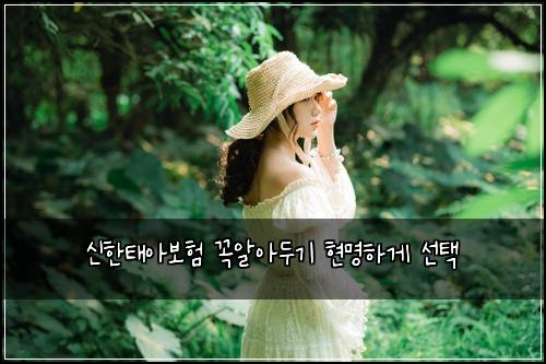 신한태아보험 꼭알아두기  현명하게 선택