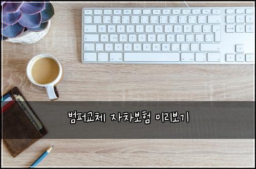 범퍼교체 자차보험 미리보기 