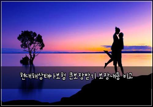 현대해상태아보험 큰보장받기  보장내용 비교