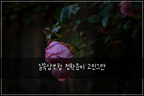 실속암보험 정확준비  고민그만