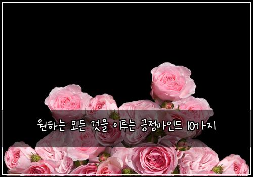 원하는 모든 것을 이루는 긍정마인드 10가지