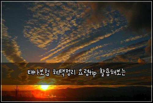 ํ์๋ณดํ ํํ์ ๋ฆฌ ์๋ นtip ํ์ฉํด๋ณด๋