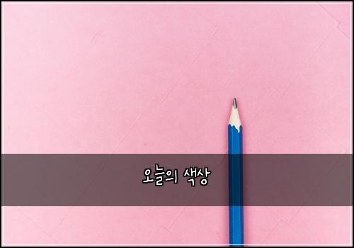 오늘의 색상