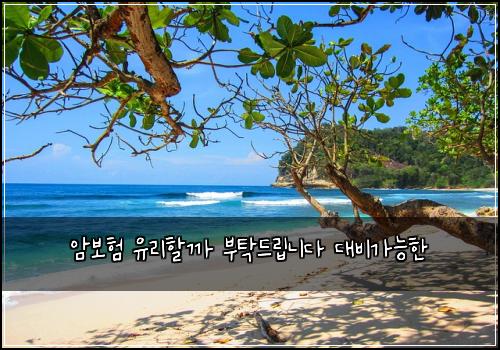 암보험 유리할까  부탁드립니다 대비가능한