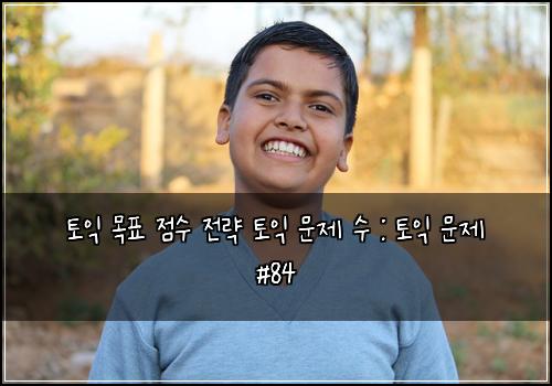 토익 목표 점수 전략 토익 문제 수 : 토익 문제 #84