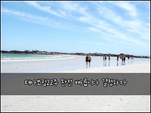 νμ보ν22μ£Ό μμ λΉ λ¦
λλ€ κ²°μ νμ