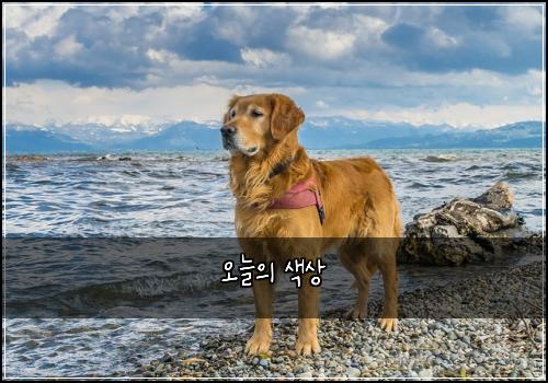 오늘의 색상
