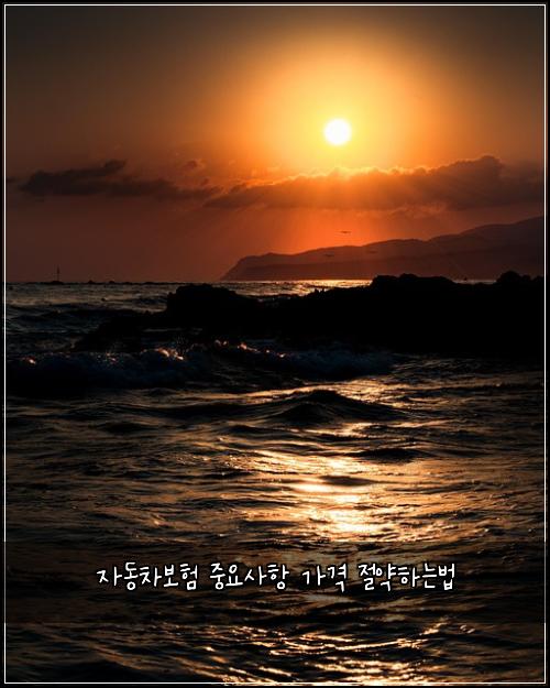 ์๋์ฐจ๋ณดํ ์ค์์ฌํญ ๊ฐ๊ฒฉ ์ ์ฝํ๋๋ฒ