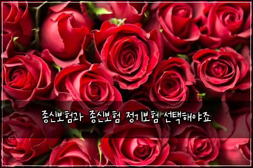종신보험과 종신보험 정기보험 선택해야죠