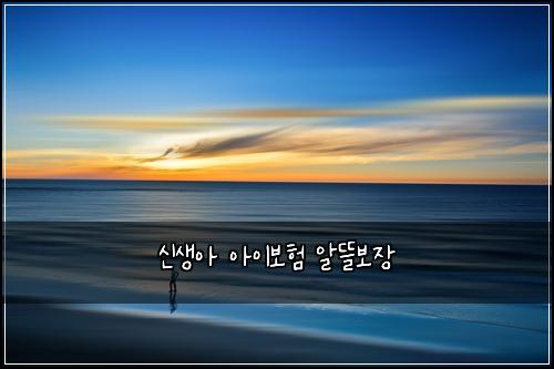 신생아 아이보험 알뜰보장 