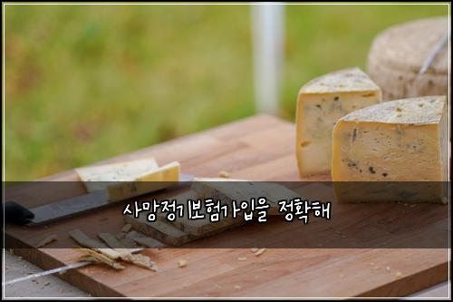 사망정기보험가입을 정확해