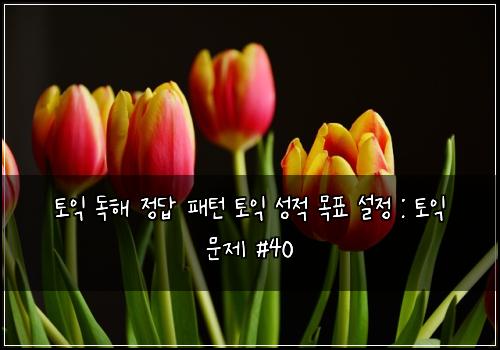 토익 독해 정답 패턴 토익 성적 목표 설정 : 토익 문제 #40