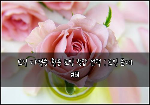 토익 자격증 활용 토익 정답 선택 : 토익 문제 #51