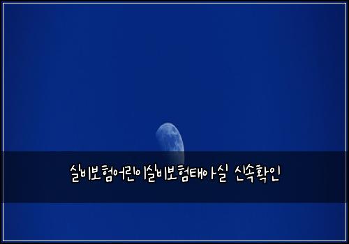 실비보험어린이실비보험태아실 신속확인
