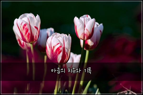 ๋ง์์ ์น์ ์ ๊ธฐ๋ก