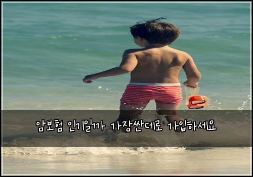 암보험 인기일까  가장싼데로 가입하세요