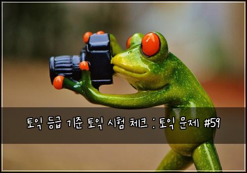 토익 등급 기준 토익 시험 체크 : 토익 문제 #59
