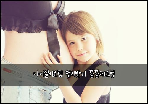 아이실비보험 정리받기  꼼꼼체크법
