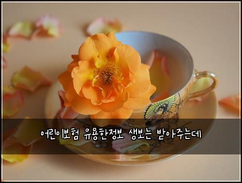 어린이보험 유용한정보  생보는 받아주는데