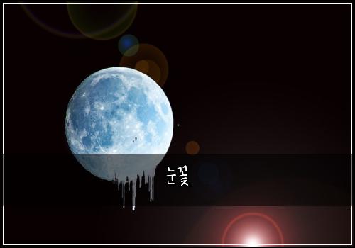 눈꽃
