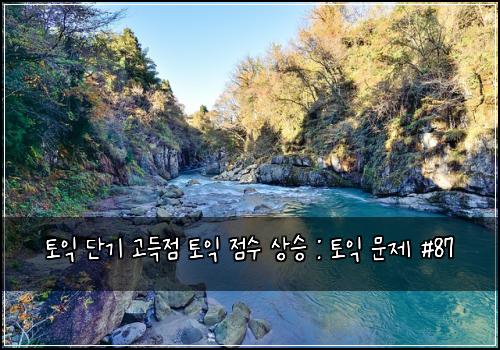 토익 단기 고득점 토익 점수 상승 : 토익 문제 #87
