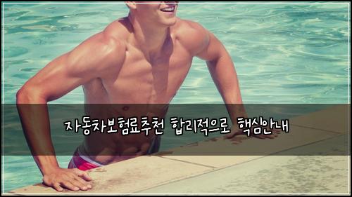 자동차보험료추천 합리적으로 핵심안내