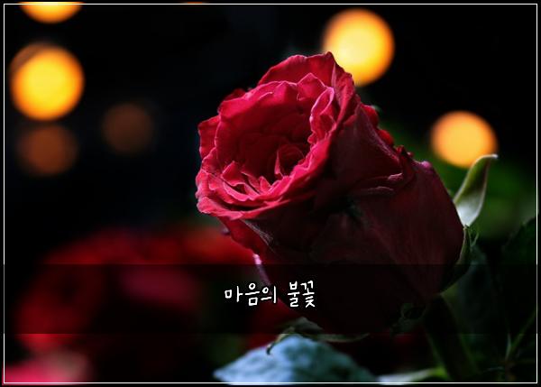๋ง์์ ๋ถ๊ฝ