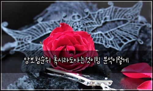 암보험순위 혹시라도아는것이힘 분석이렇게