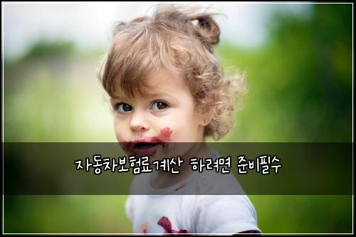 자동차보험료계산 하려면 준비필수