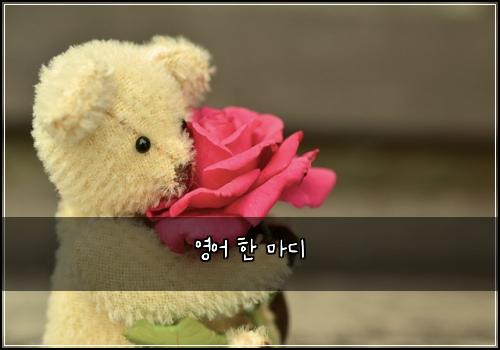 영어 한 마디