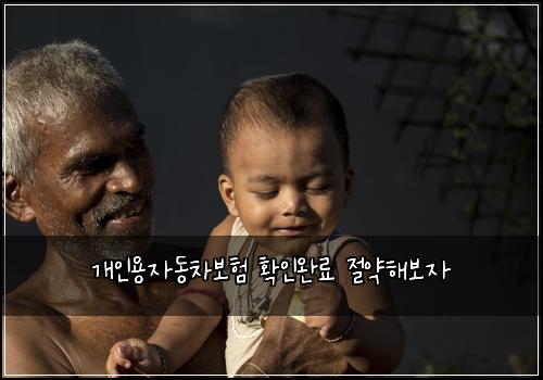 개인용자동차보험 확인완료  절약해보자