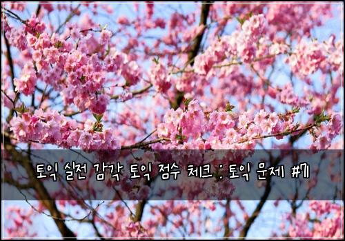 토익 실전 감각 토익 점수 체크 : 토익 문제 #71