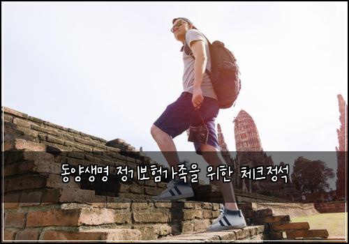 동양생명 정기보험가족을 위한 체크정석