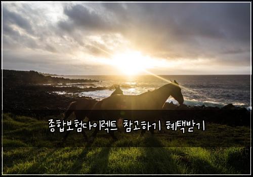 종합보험다이렉트 참고하기 혜택받기