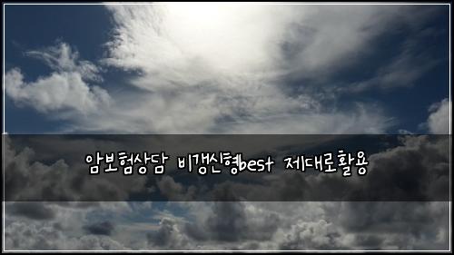 암보험상담 비갱신형best 제대로활용