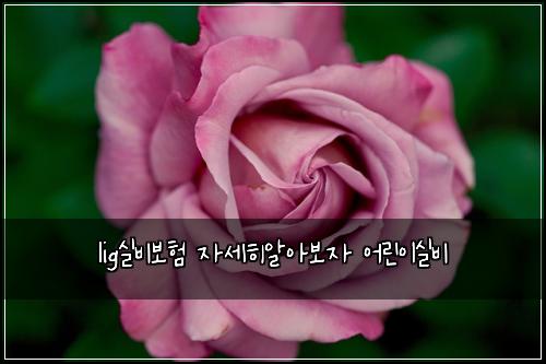 lig실비보험 자세히알아보자  어린이실비