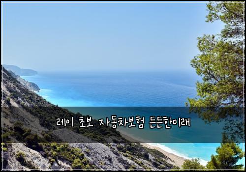 레이 초보 자동차보험 든든한미래 