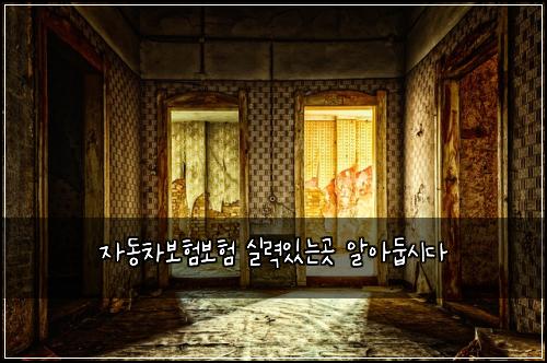 자동차보험보험 실력있는곳 알아둡시다