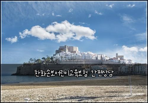 한화손보어린이교육보험 간편상담 