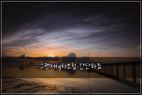 그랜저tg차보험 간단하죠 