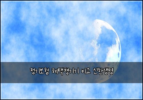 정기보험 혜택챙기기  비교 신한생명