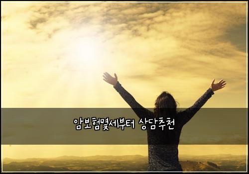 암보험몇세부터 상담추천