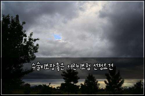 수술비보장좋은 어린이보험 선정요건 