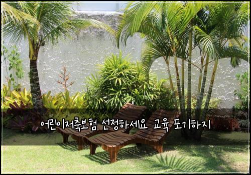 어린이저축보험 선정하세요  교육 포기하지