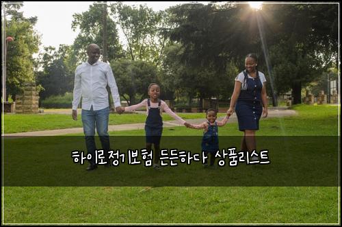 하이로정기보험 든든하다  상품리스트