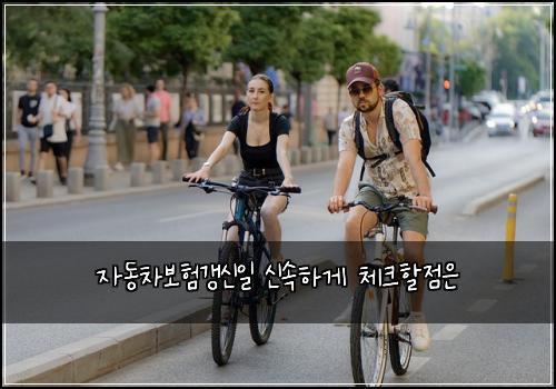 자동차보험갱신일 신속하게 체크할점은